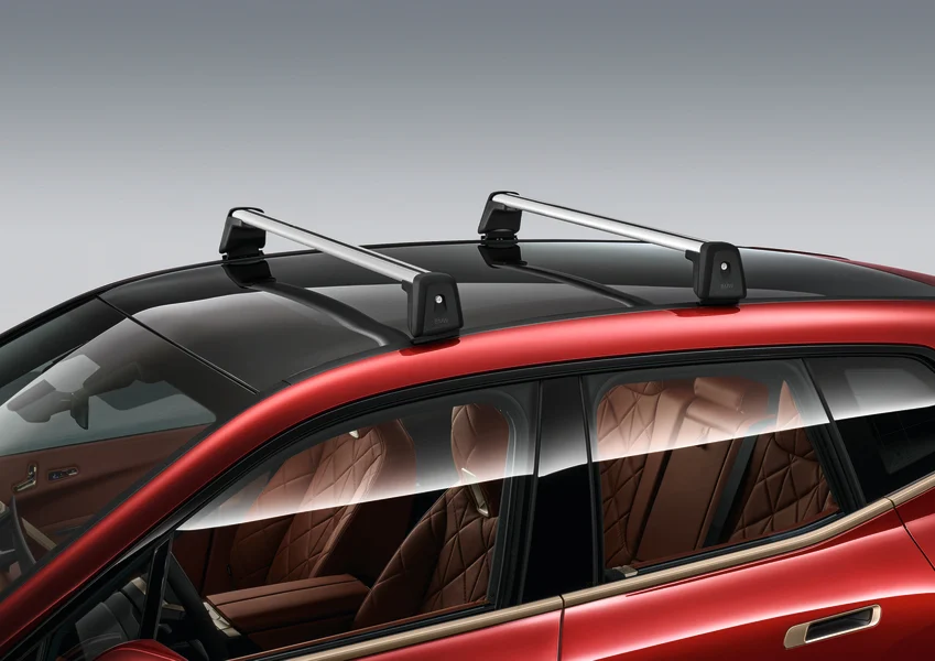 BMW Dachträger iX i20