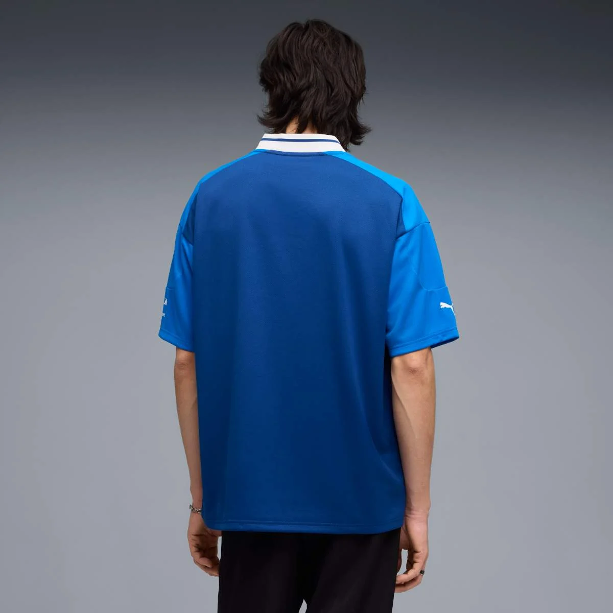 BMW M Motorsport Lifestyle Jersey Kurzärmlig Herren blau