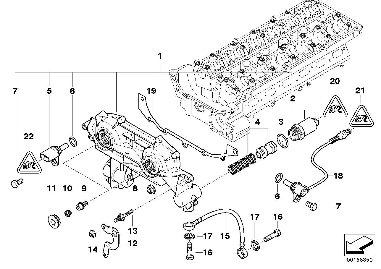 BMW Verschlussstopfen E38 E39 E46 E53 E60 E61 E65 E66 E83 E85 113