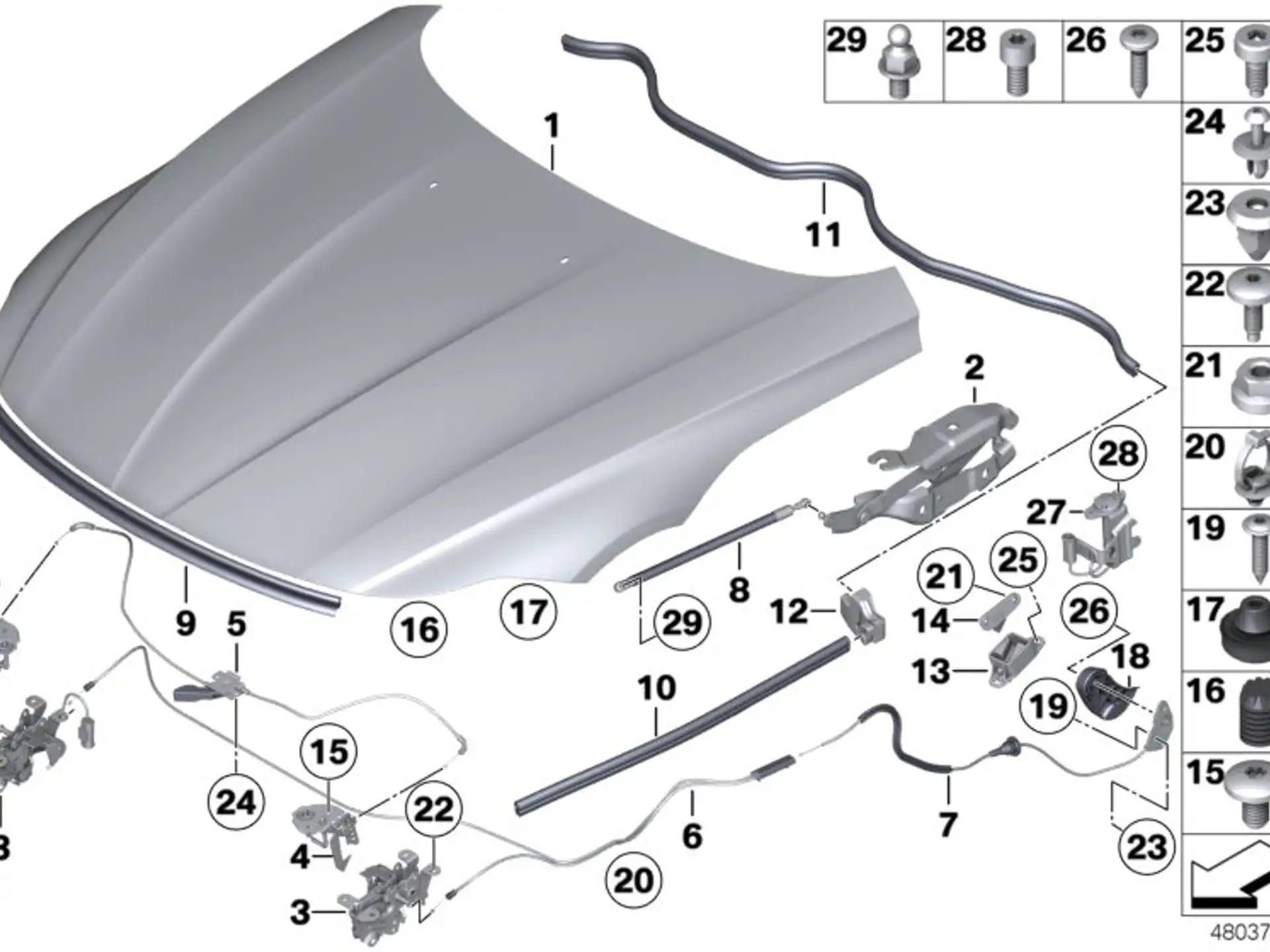 BMW Gasfeder Frontklappe Aktiv E89 51237285823