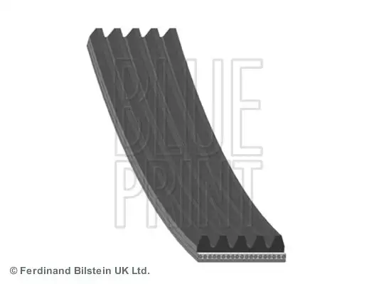 BLUE PRINT Keilrippenriemen IBLTAD05R954