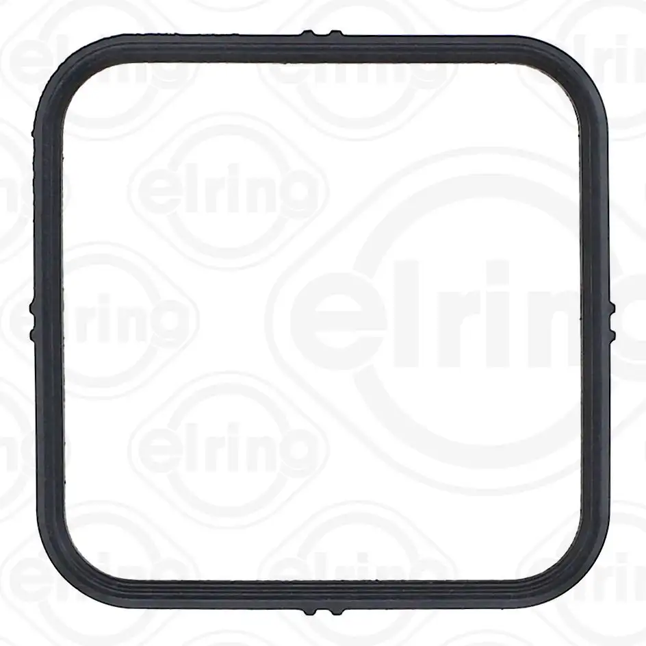 ELRING Dichtung, Thermostatgehäuse 4067806080724