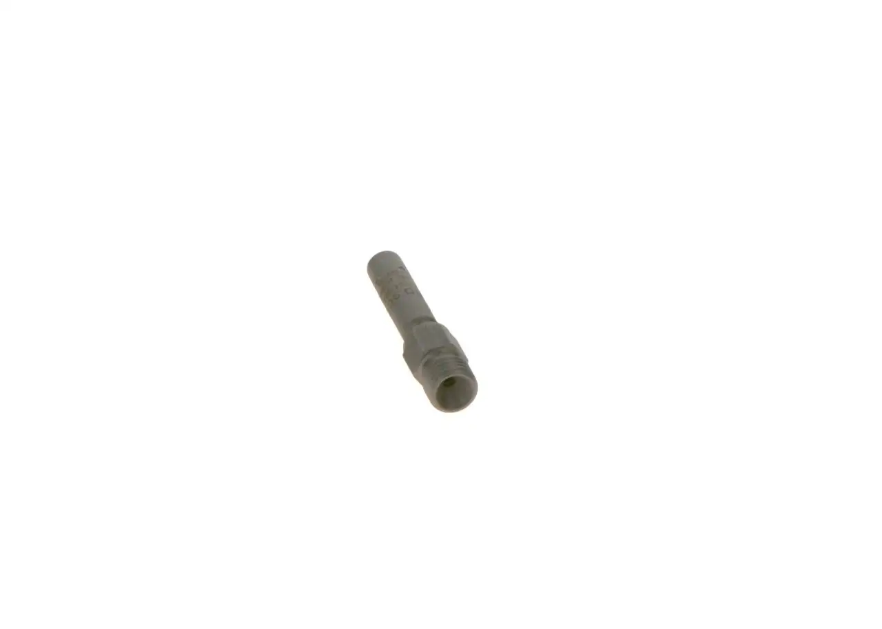 BOSCH Einspritzventil 3165142599083
