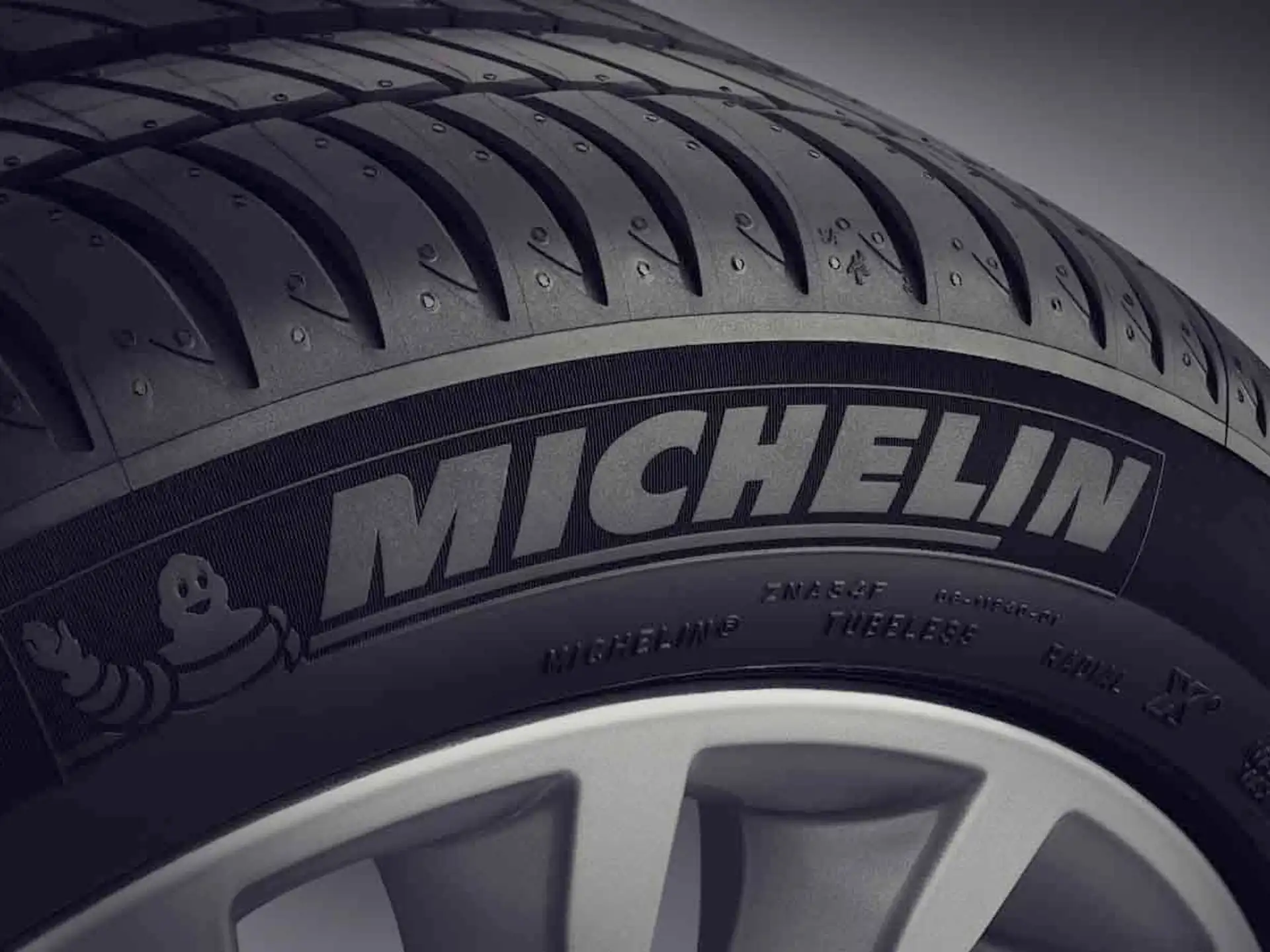 BMW Winterreifen Michelin Pilot Alpin 5 SUV RSC 275/45 R20 110V