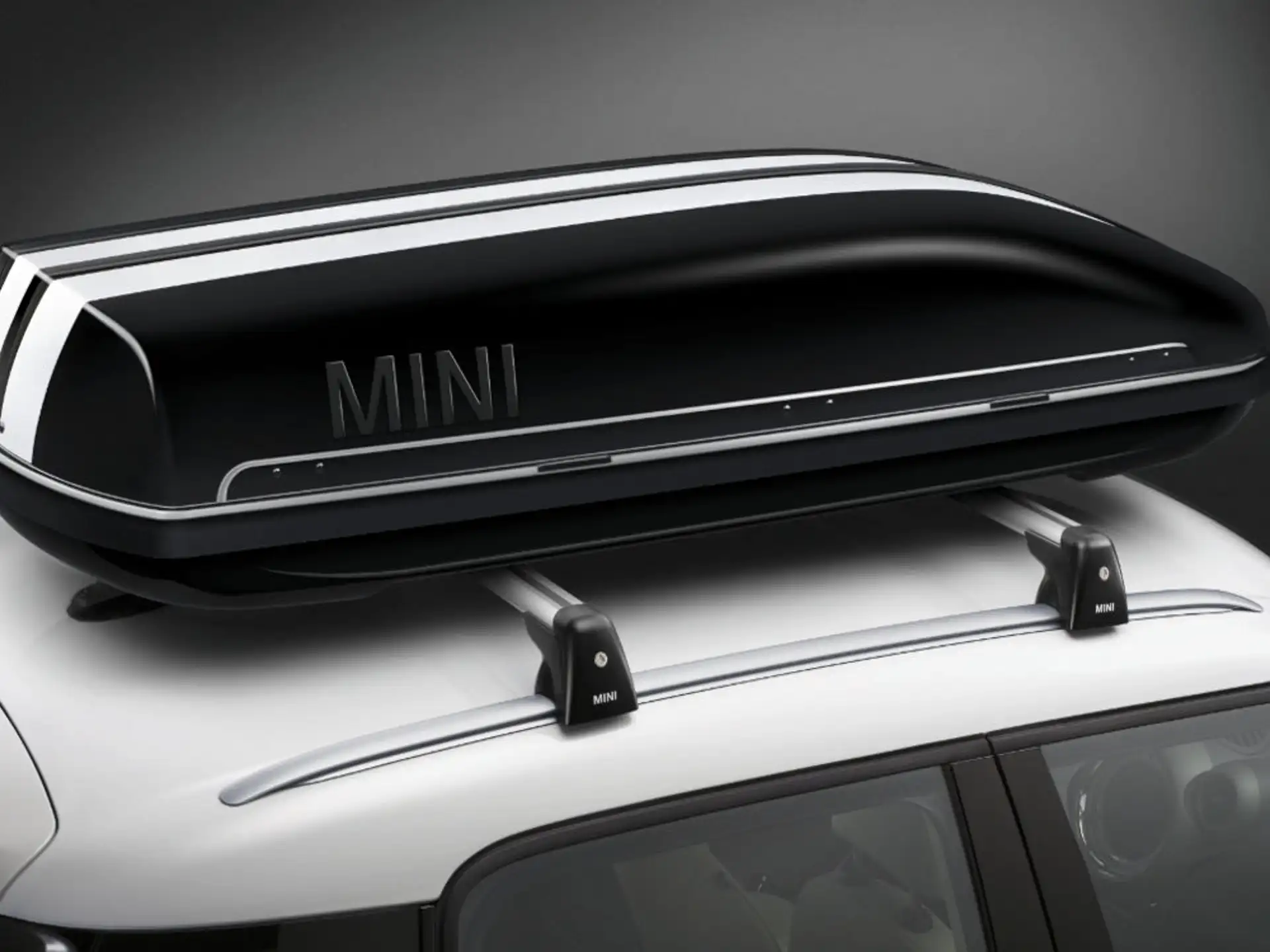 MINI Dachbox 320