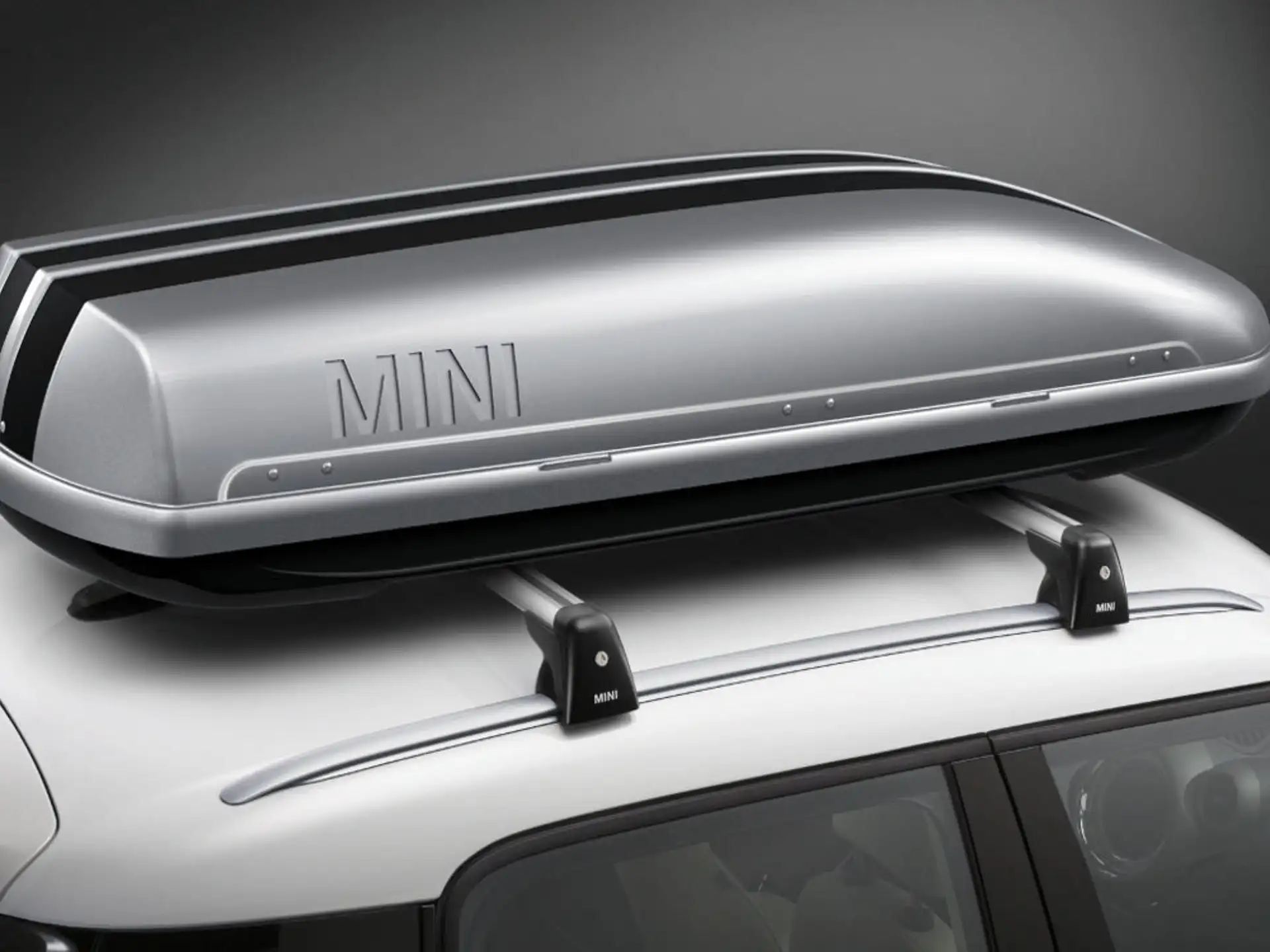 MINI Satz Dachbox-Dekorstreifen