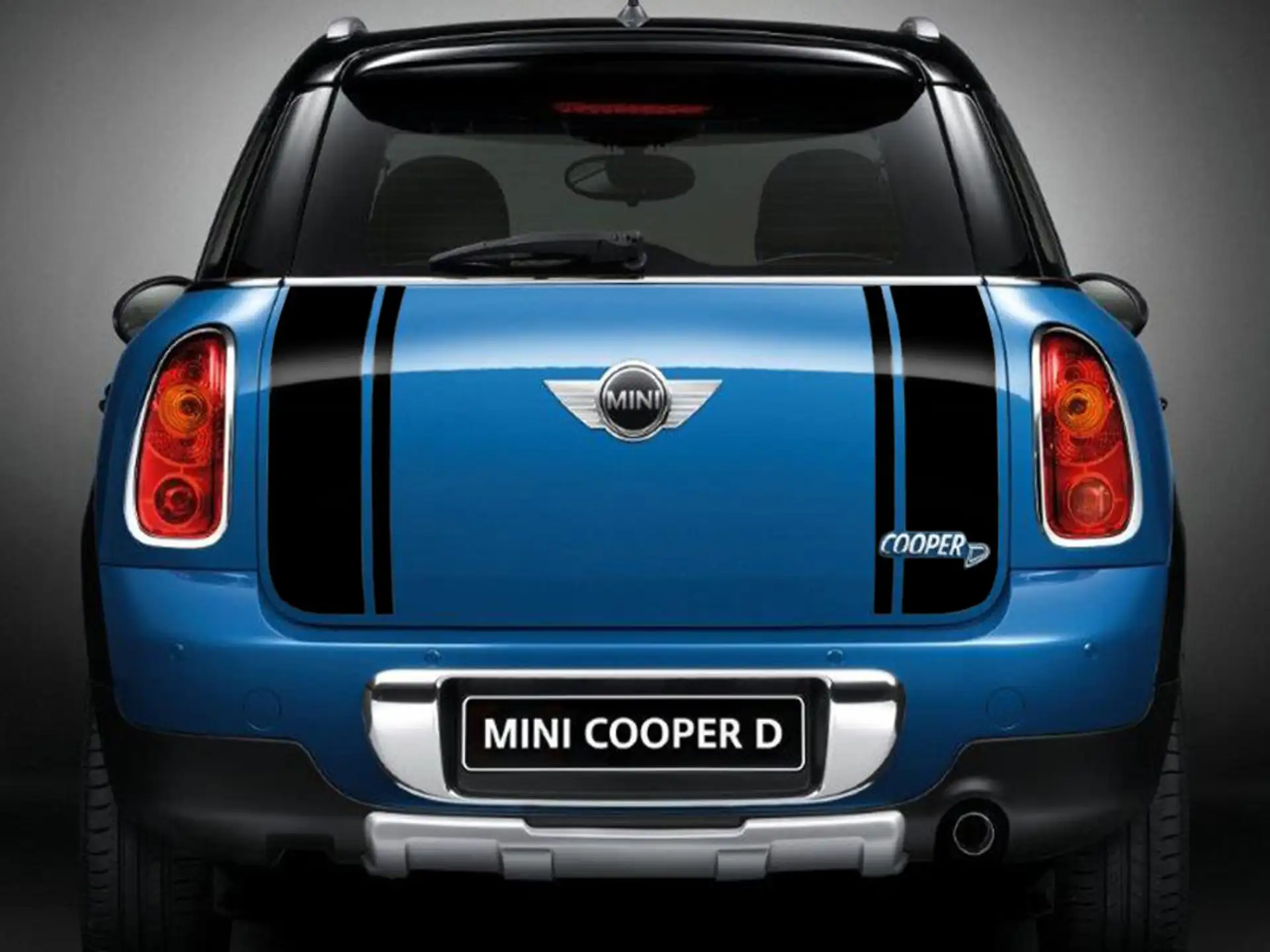 MINI Sportstreifen Roofkit