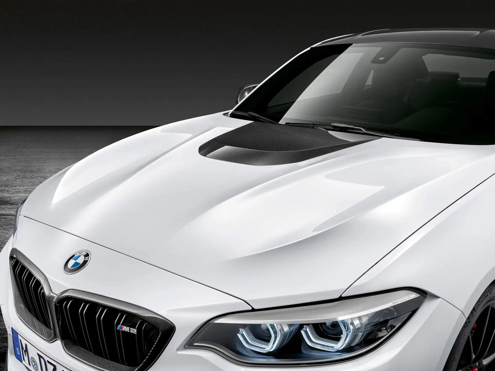 BMW M Performance Motorhaube Carbon 1er F20 F21 2er F22 F23 M2 F87