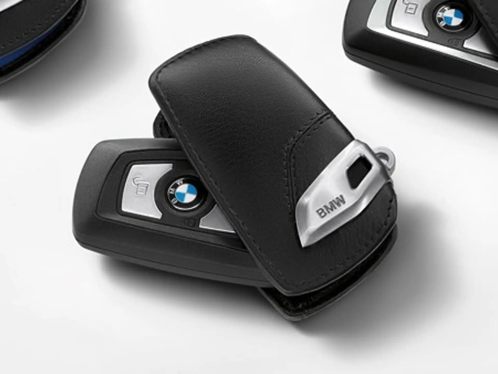 BMW Schlüsseletui Lines
